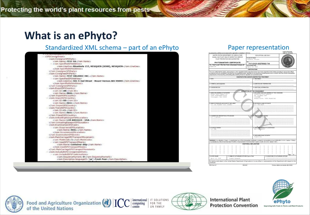 what is an ephyto standardized xml schema part