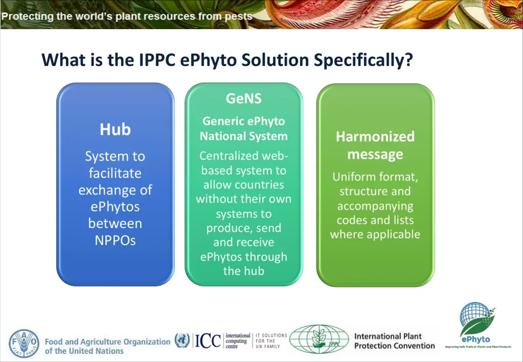 what is the ippc ephyto solution specifically