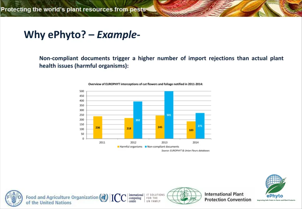 why ephyto example