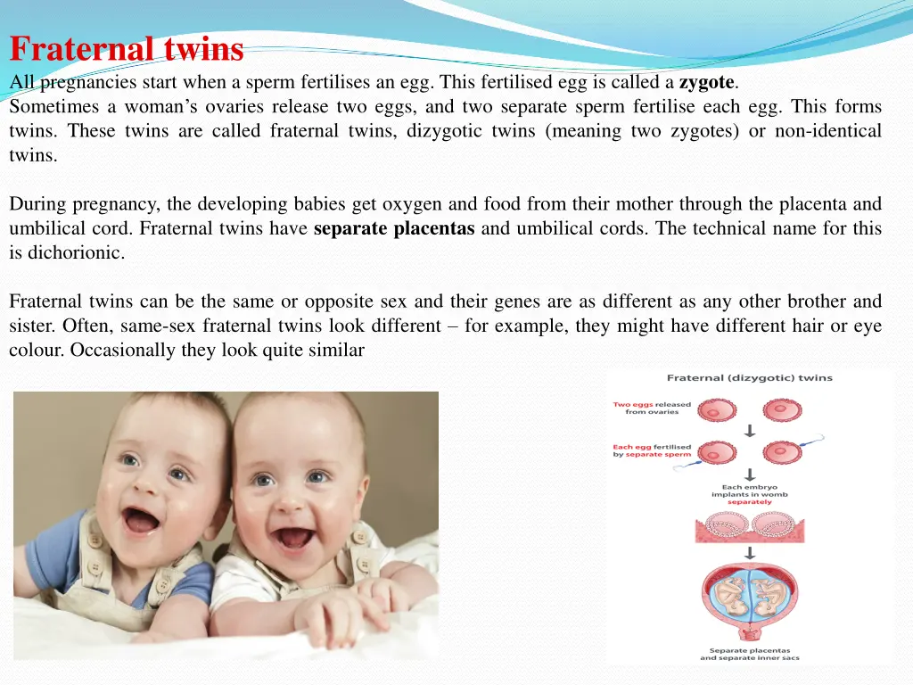 fraternal twins all pregnancies start when