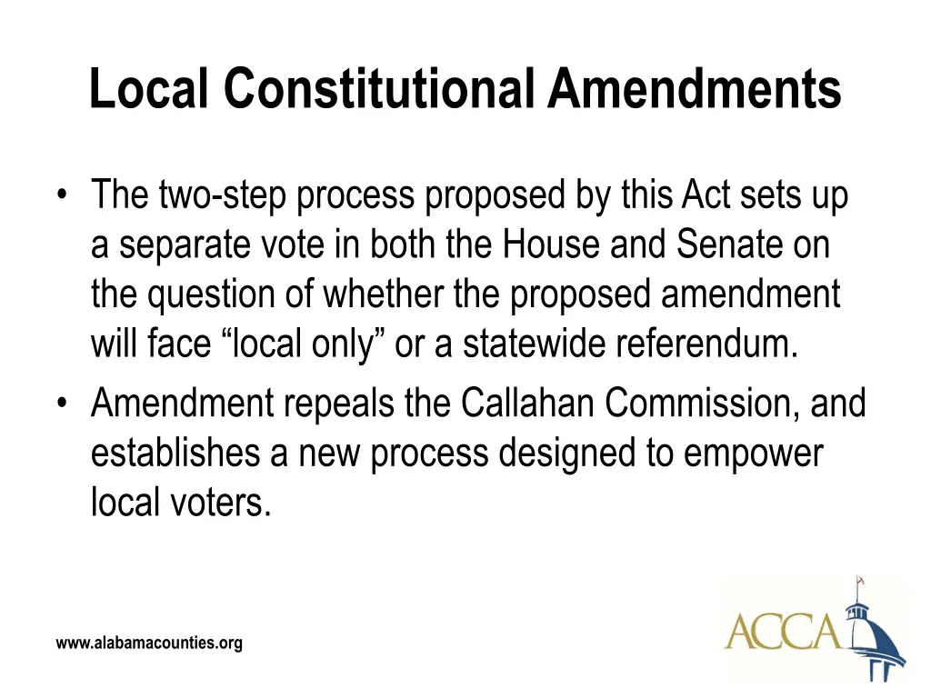 local constitutional amendments 2