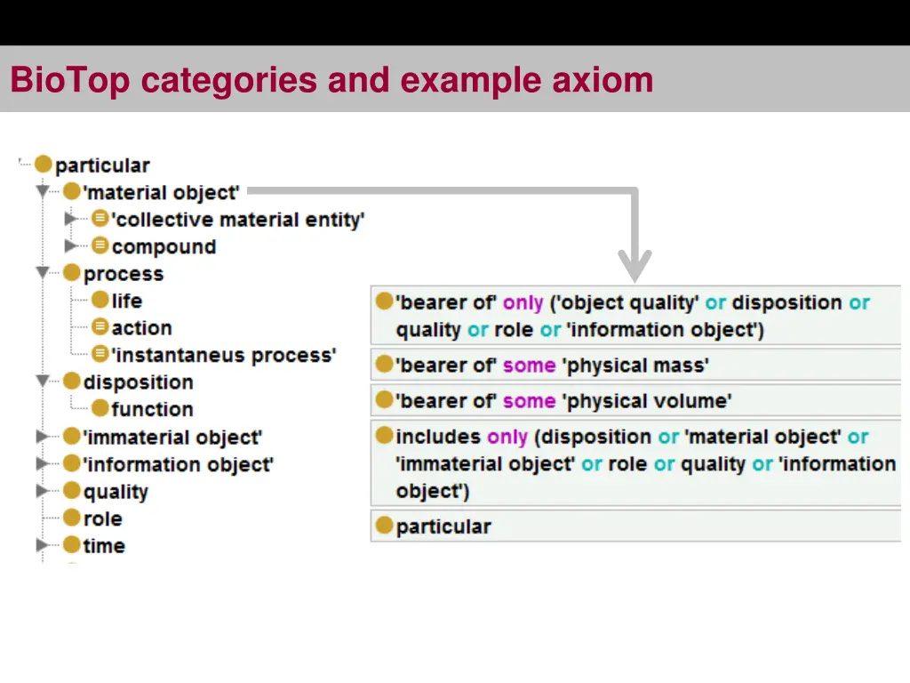 biotop categories and example axiom