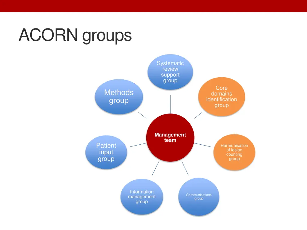 acorn groups