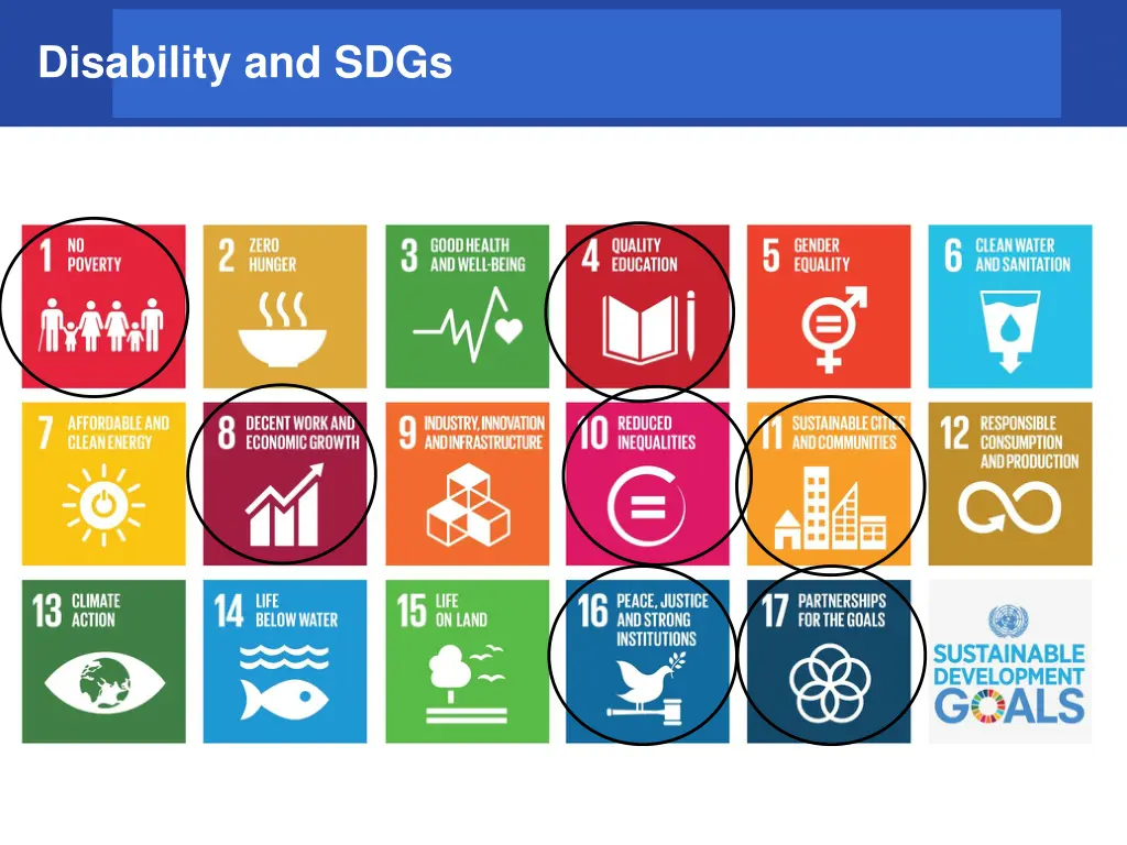 disability and sdgs