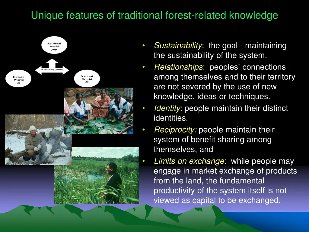 unique features of traditional forest related