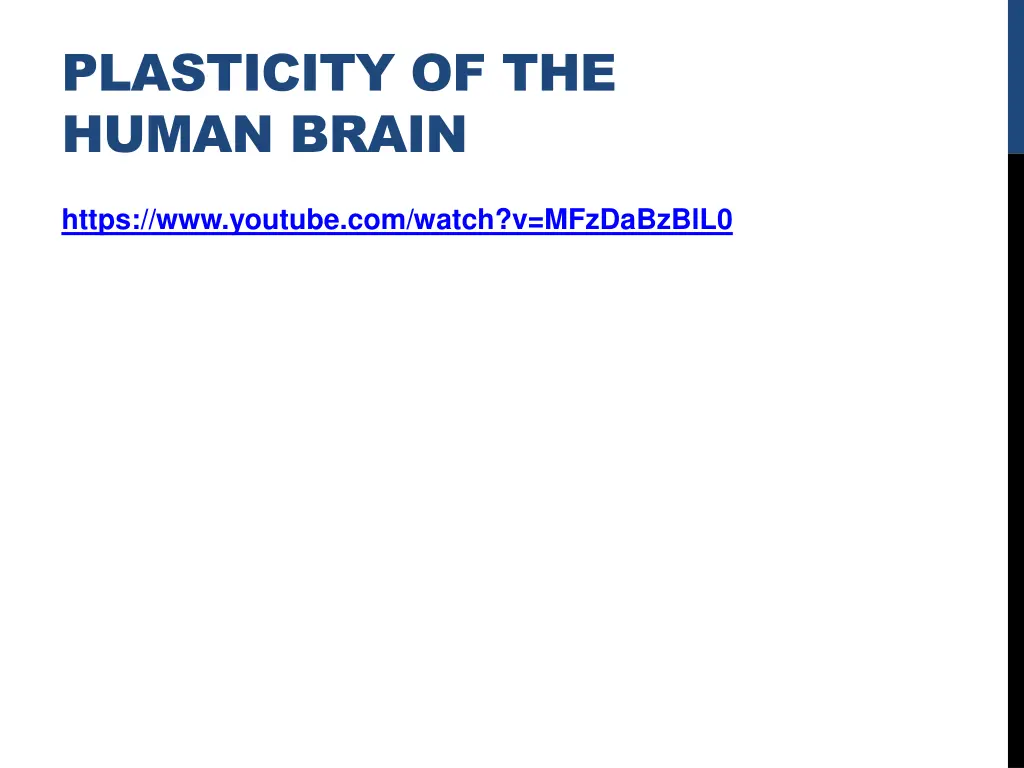 plasticity of the human brain