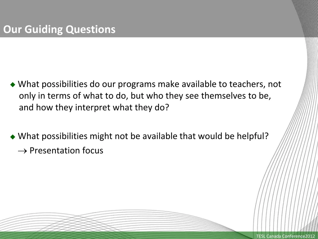 our guiding questions