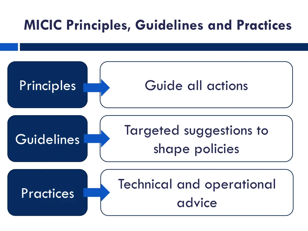 micic principles guidelines and practices