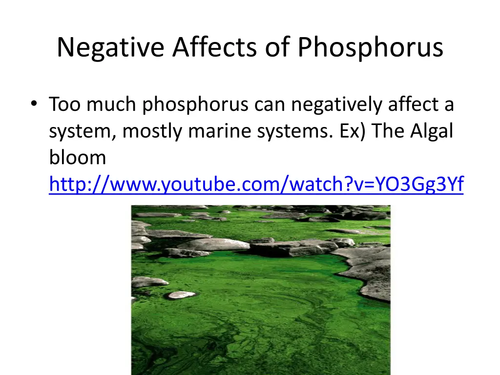 negative affects of phosphorus