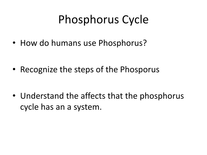 phosphorus cycle