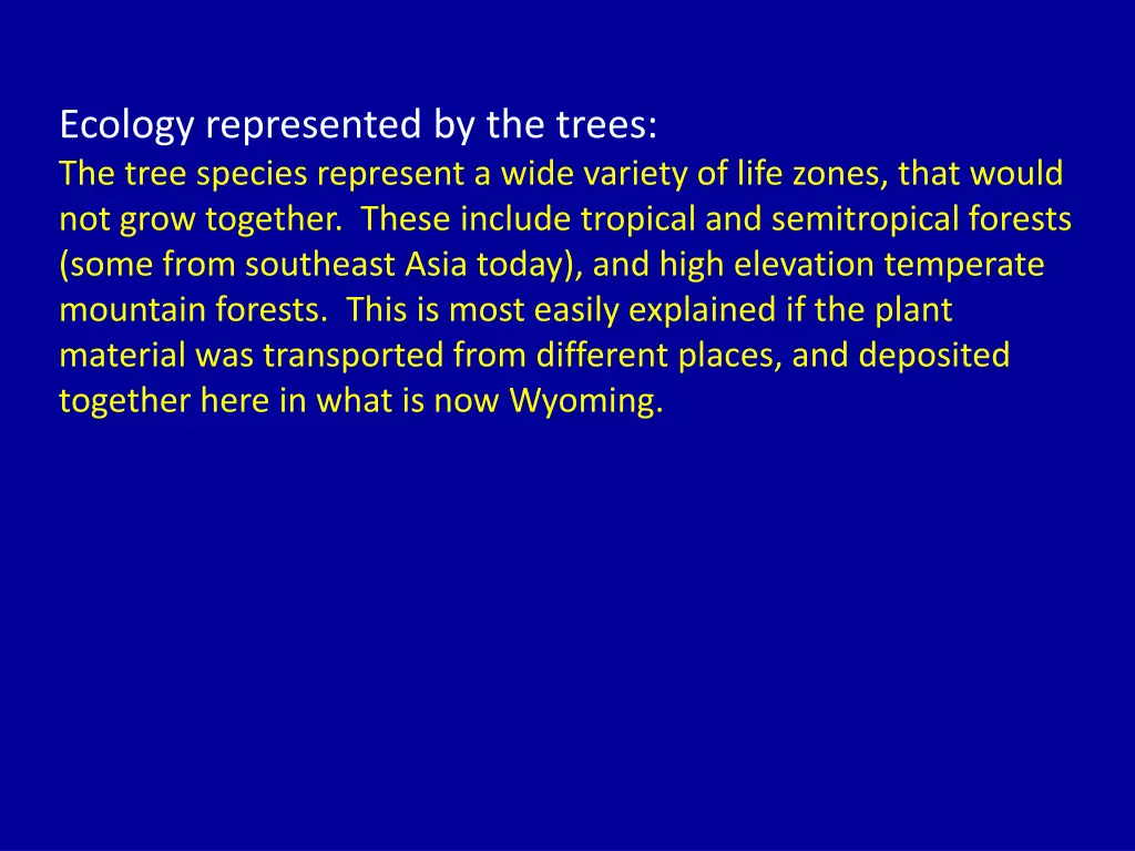 ecology represented by the trees the tree species