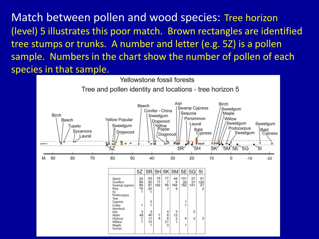 match between pollen and wood species tree