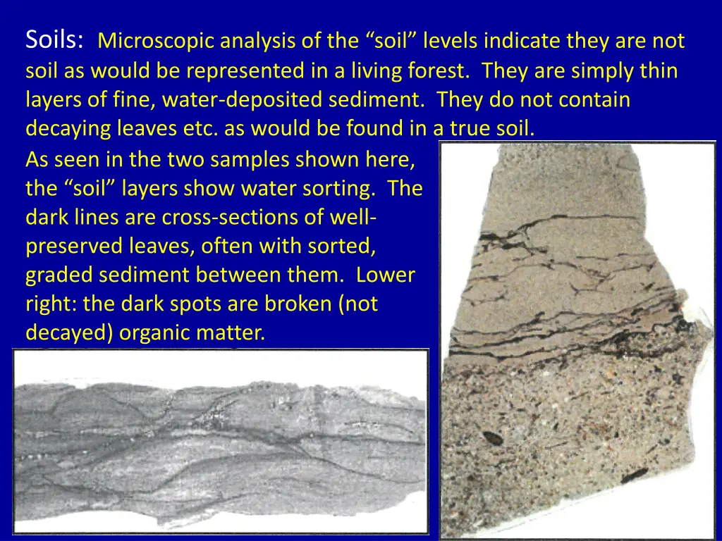 soils microscopic analysis of the soil levels