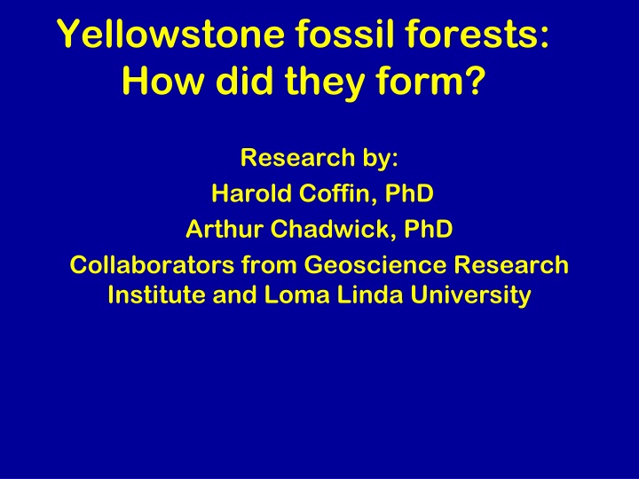 yellowstone fossil forests how did they form