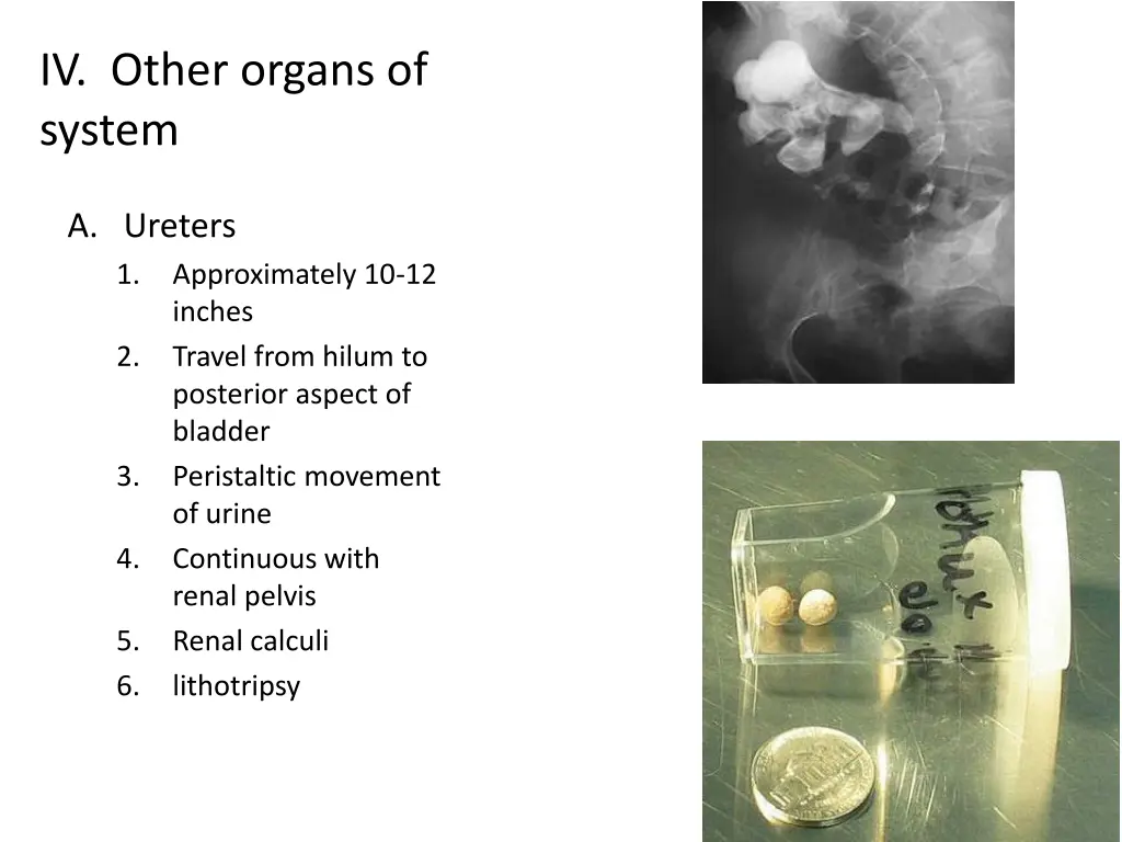 iv other organs of system