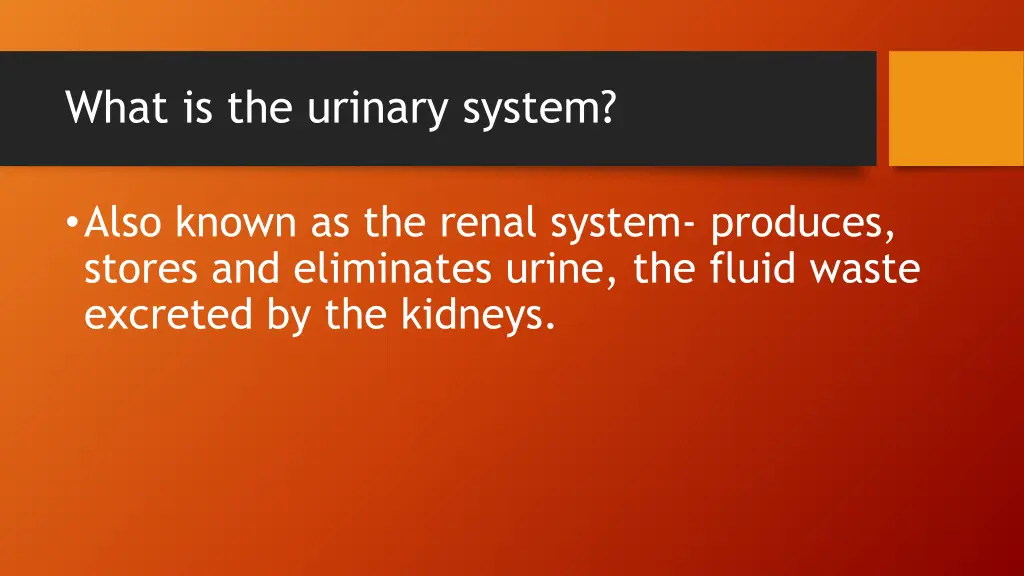 what is the urinary system