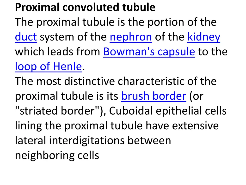 proximal convoluted tubule the proximal tubule