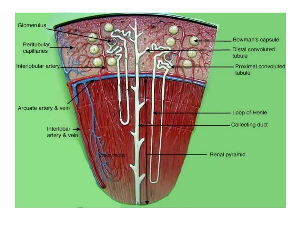 slide26