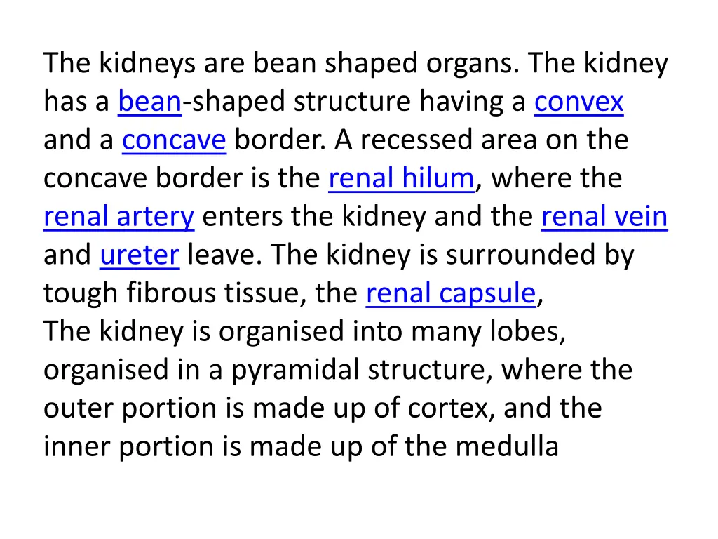 the kidneys are bean shaped organs the kidney