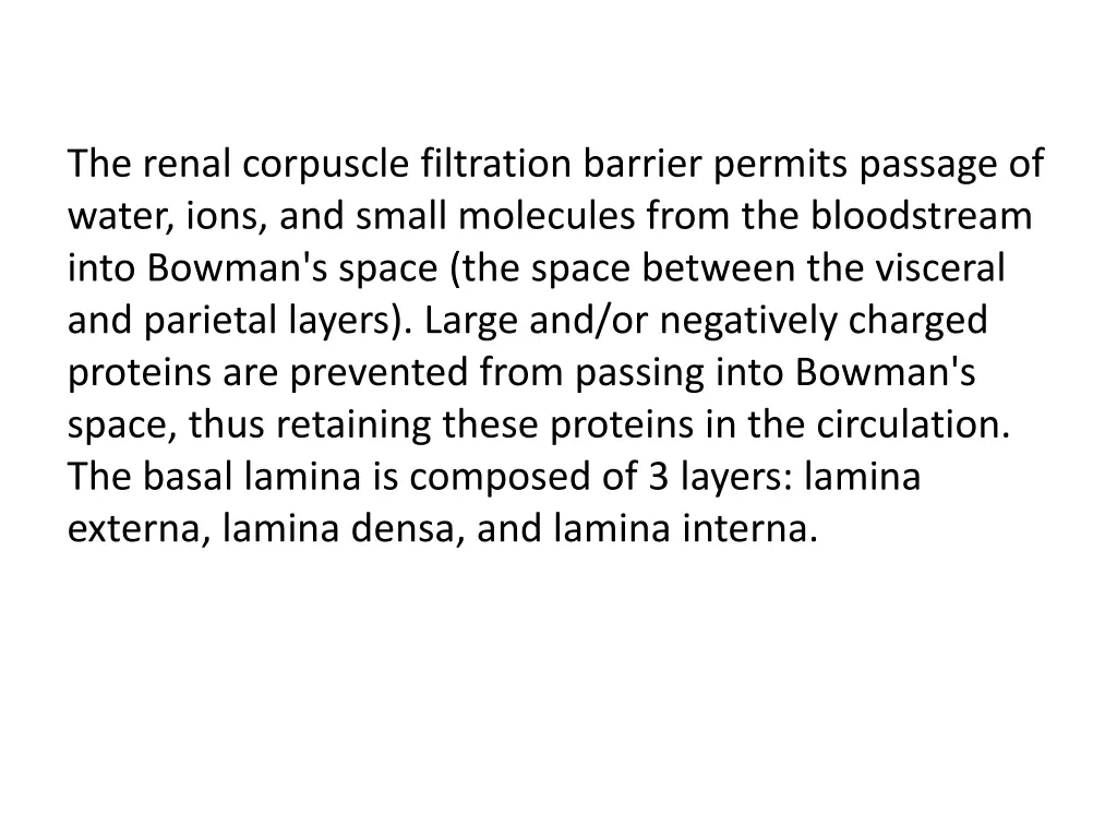 the renal corpuscle filtration barrier permits