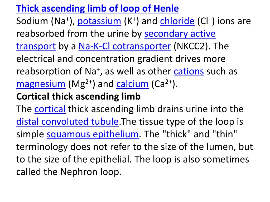 thick ascending limb of loop of henle sodium