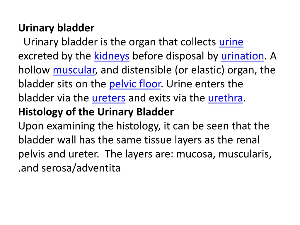 urinary bladder urinary bladder is the organ that