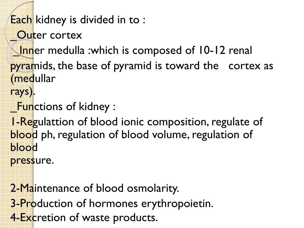 each kidney is divided in to outer cortex inner