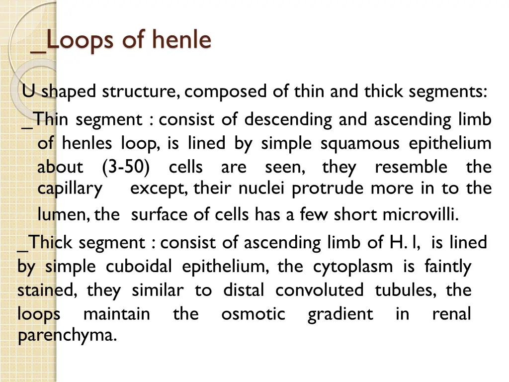 loops of henle