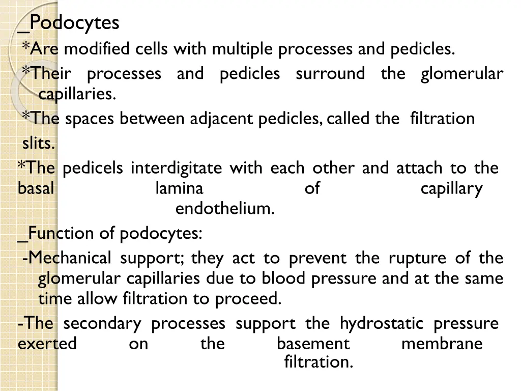 podocytes are modified cells with multiple