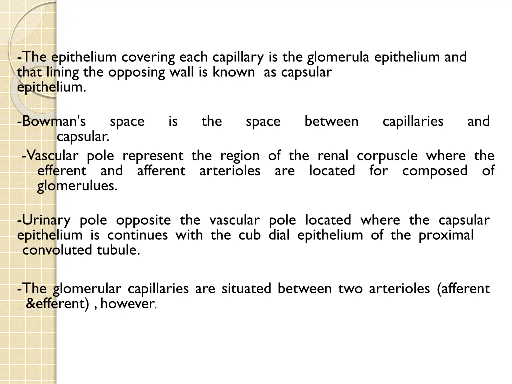 the epithelium covering each capillary