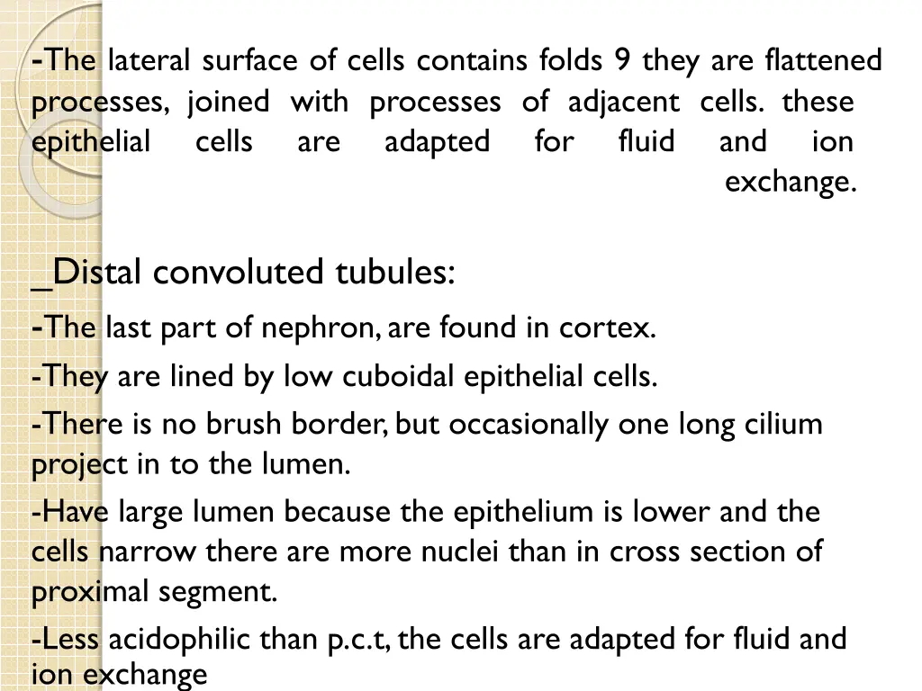 the lateral surface of cells contains folds