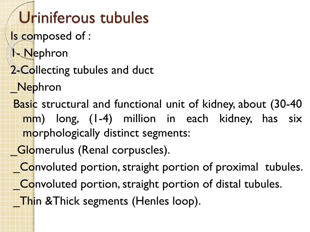 uriniferous tubules is composed of 1 nephron