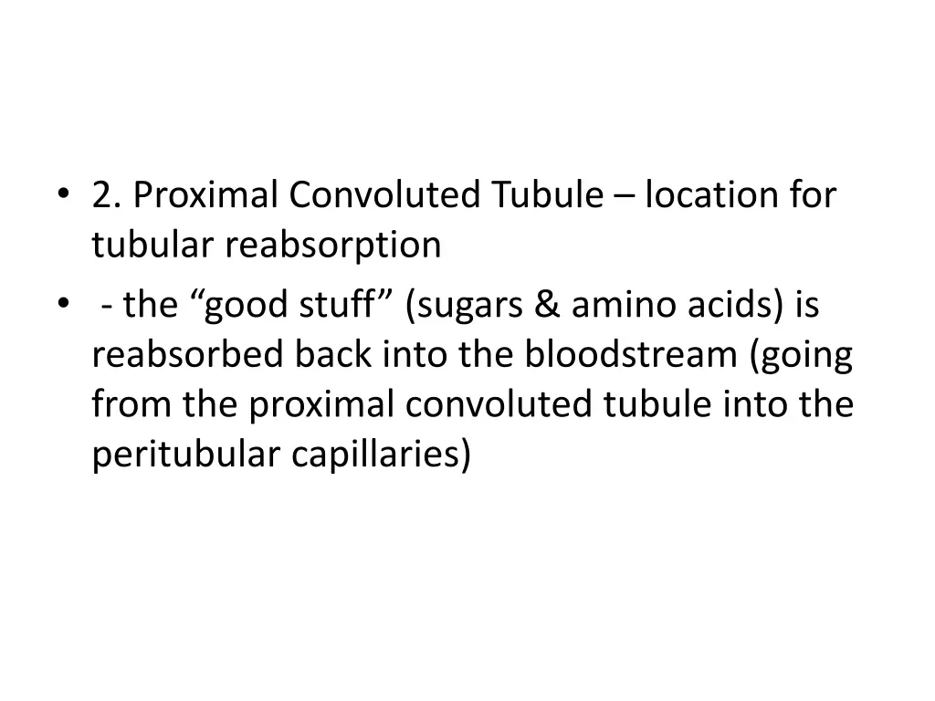 2 proximal convoluted tubule location for tubular