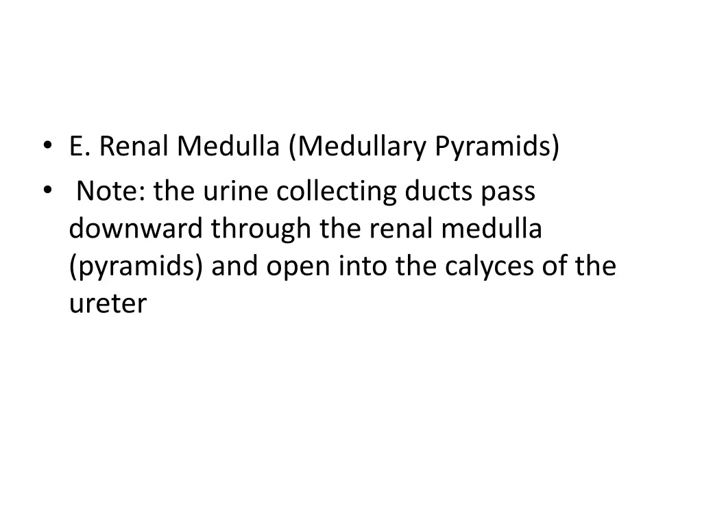 e renal medulla medullary pyramids note the urine