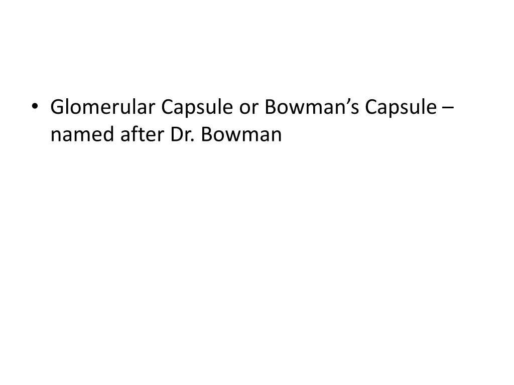 glomerular capsule or bowman s capsule named