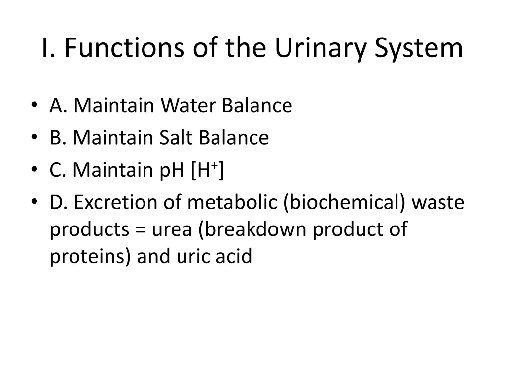 i functions of the urinary system