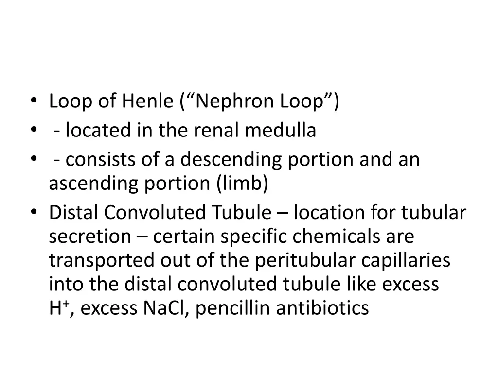 loop of henle nephron loop located in the renal