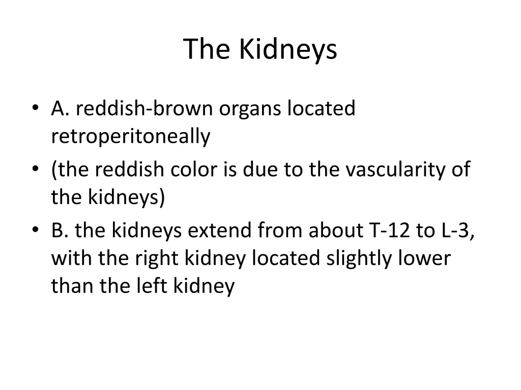 the kidneys