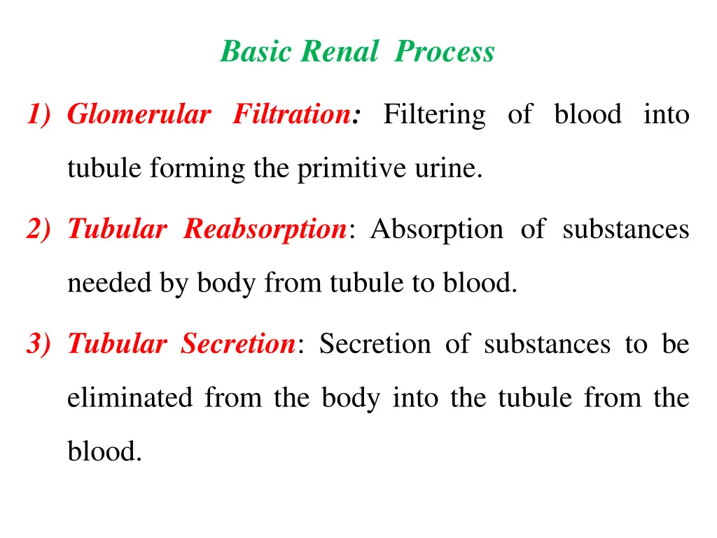 basic renal process