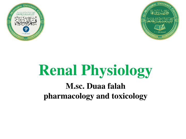 renal physiology m sc duaa falah pharmacology