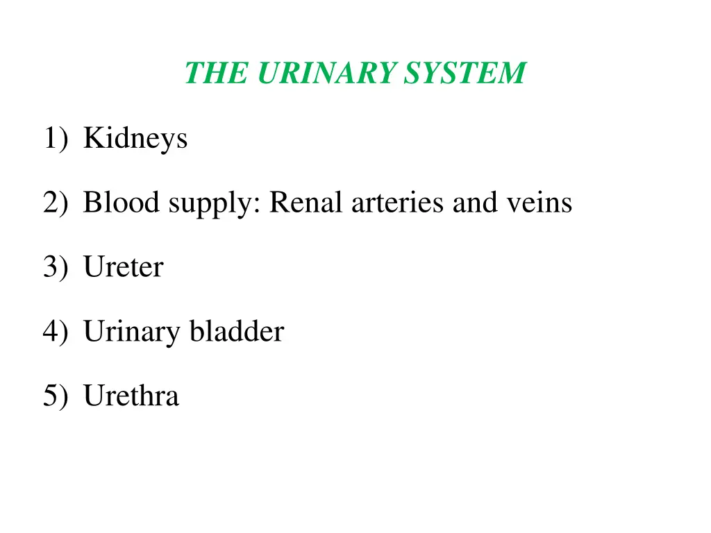 the urinary system