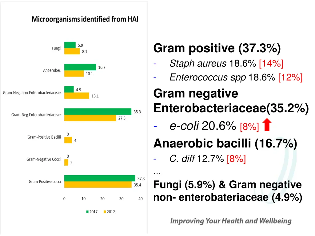 gram positive 37 3 staph aureus