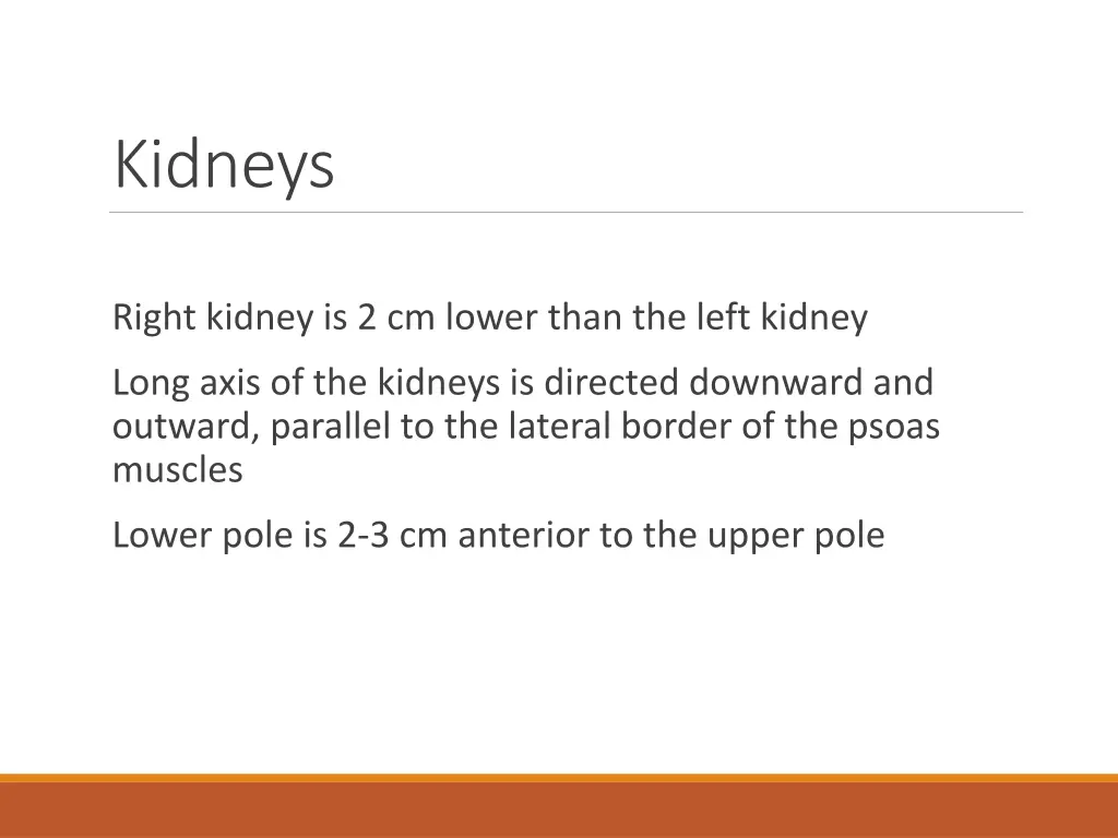 kidneys 1