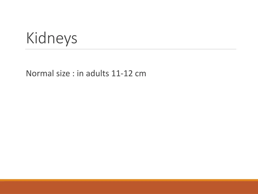 kidneys 2