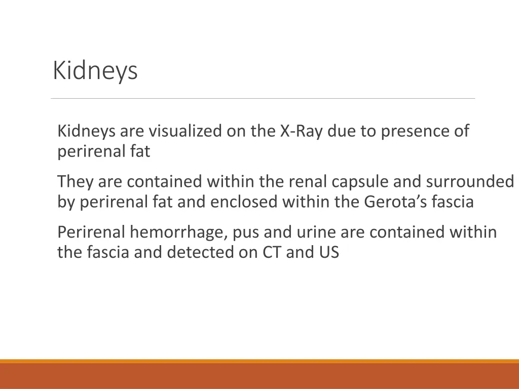 kidneys 3