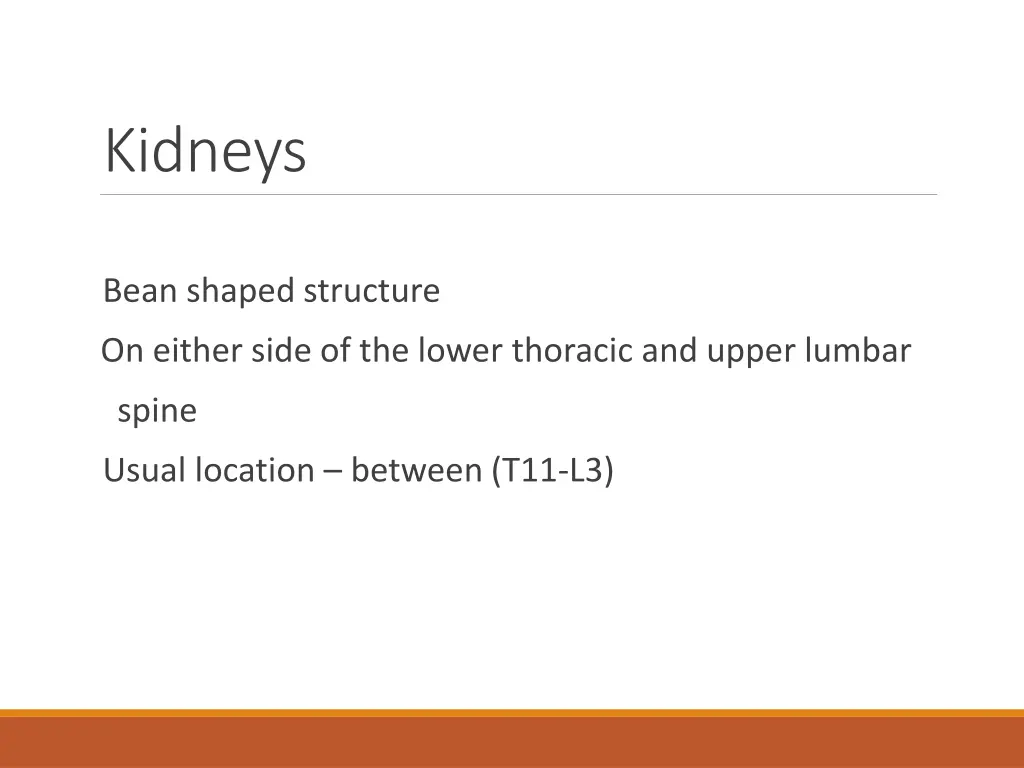 kidneys