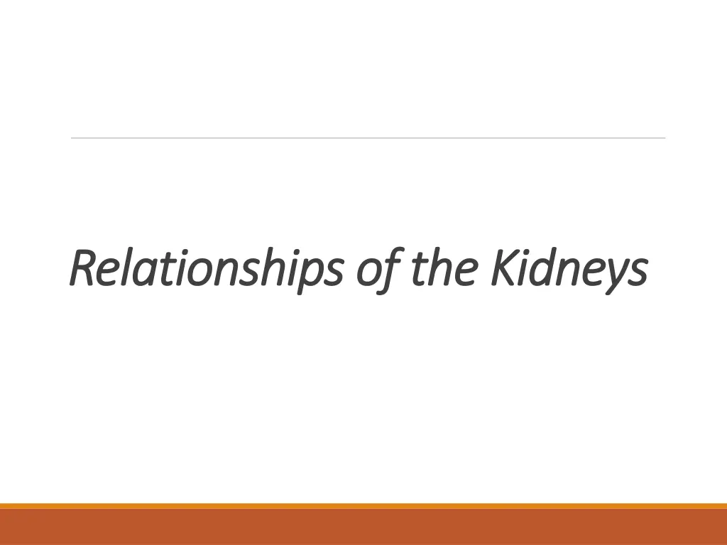 relationships of the kidneys relationships