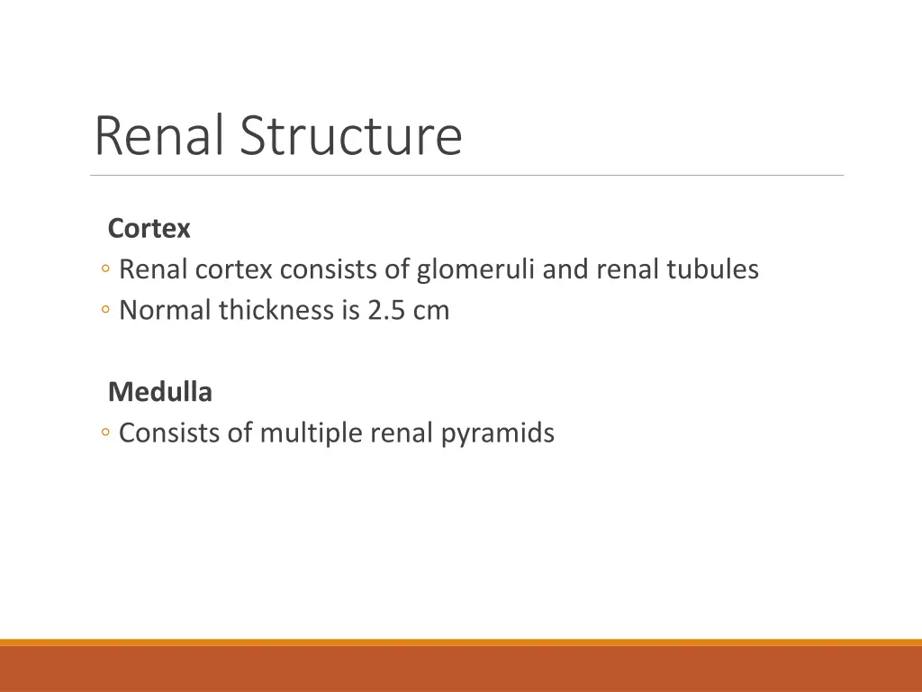 renal structure