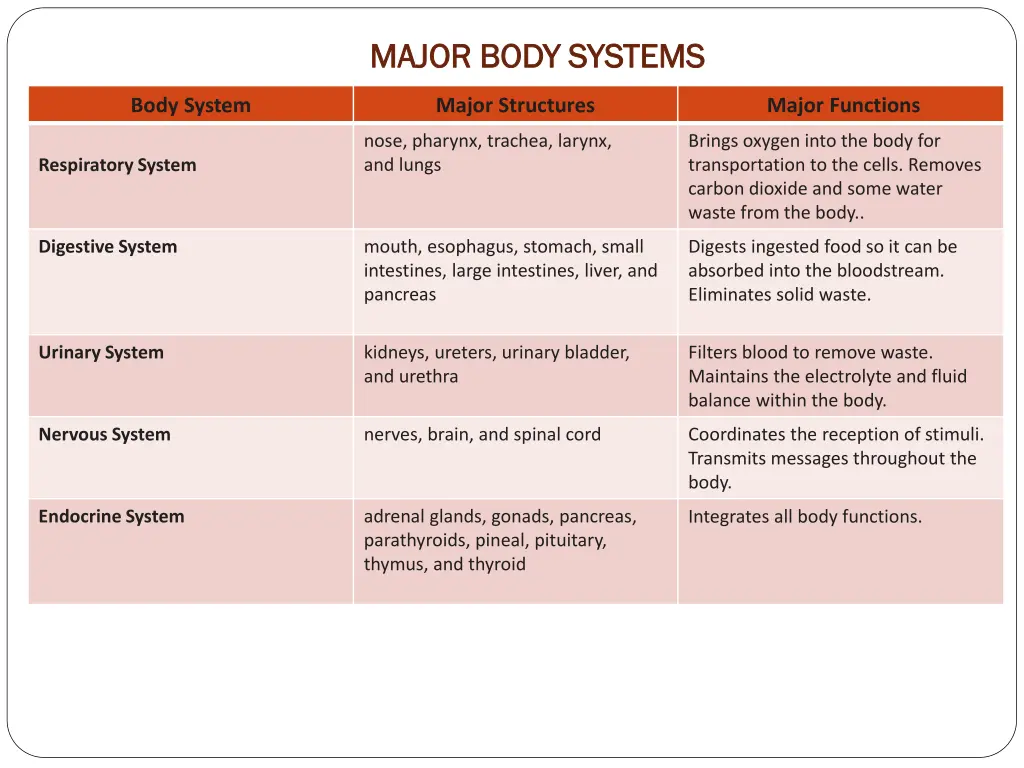 major body systems major body systems 1