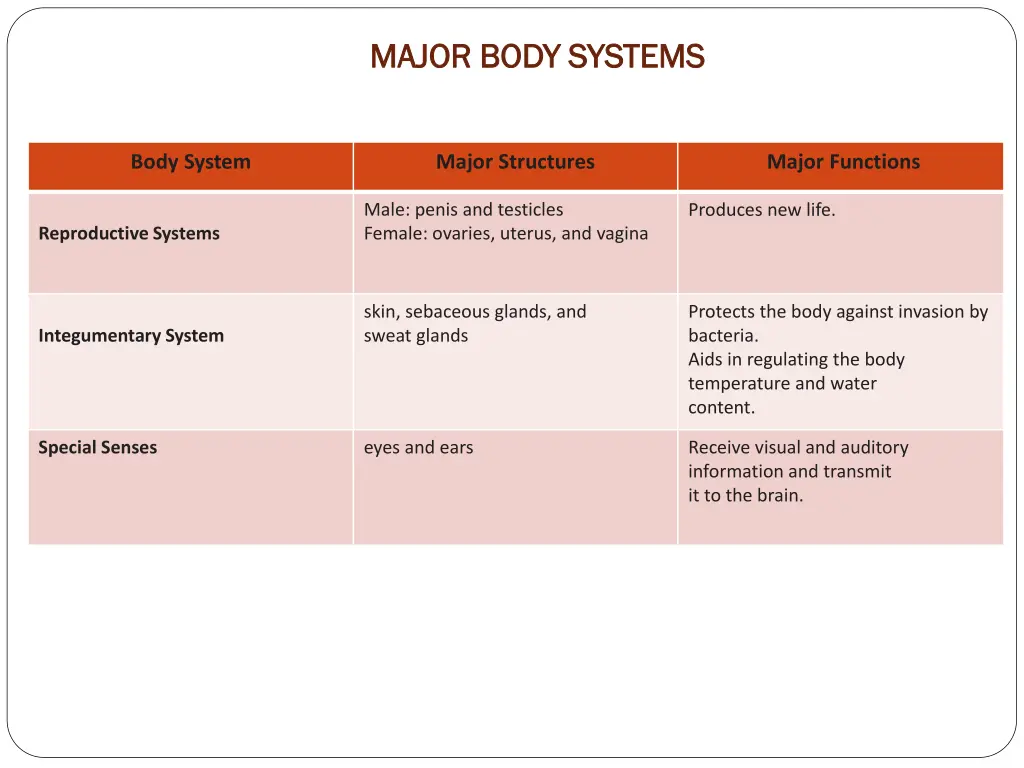 major body systems major body systems 2